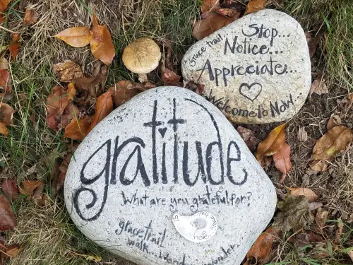 gratitude