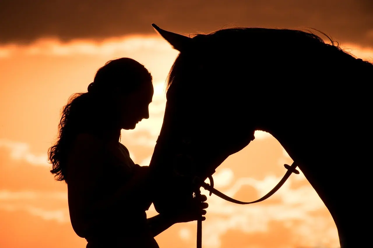 Equine Therapy