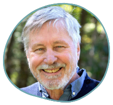 Bio Picture of Dr Bessel Van Der Kolk