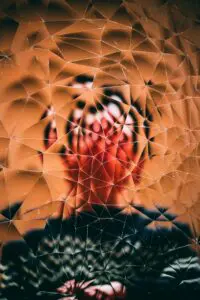 A person is seen through fractured, patterned glass, their face and upper body distorted into abstract shapes against a warm, blurred background—evoking the complexity of achieving safety in trauma recovery.