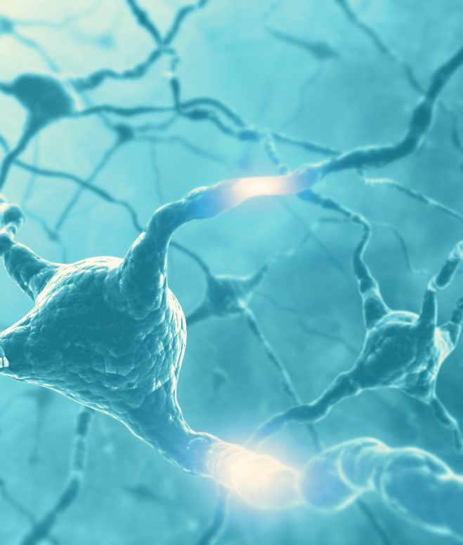 The image shows a close-up, highly detailed artwork of neurons in the human brain. It features interconnected nerve cells with dendrites and axons, illuminated with a light blue glow, depicting electrical impulses traveling through the network—symbolizing hope for effective trauma treatment at Khiron Clinics.