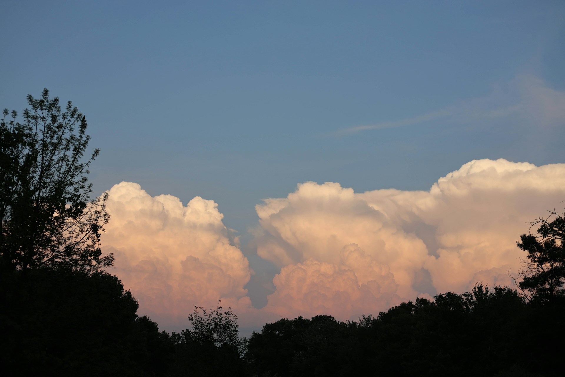 A scenic view of a sunset sky with large, fluffy clouds tinted in shades of pink and orange. The clouds are framed by silhouettes of trees in the foreground, adding depth to the serene landscape, almost as if nature itself is in gentle trauma denial, masking turmoil with serene beauty.