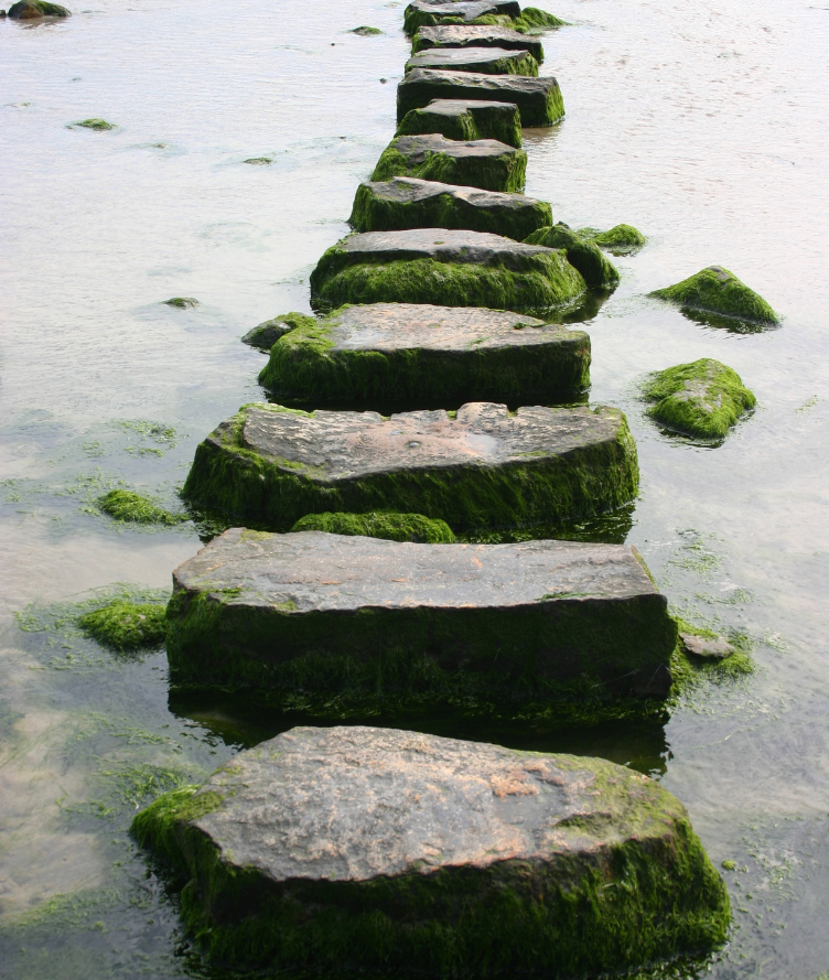 A series of large, flat stones draped in green moss form a serene stepping stone path across a shallow body of water. This tranquil scene offers a natural transition into the distance, inviting moments of stress relief as you journey across the peaceful landscape.