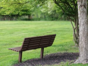 A brown wooden bench sits on a grassy area under a tree, offering a peaceful spot for reflection and trauma recognition amidst the surrounding green lawn and foliage.