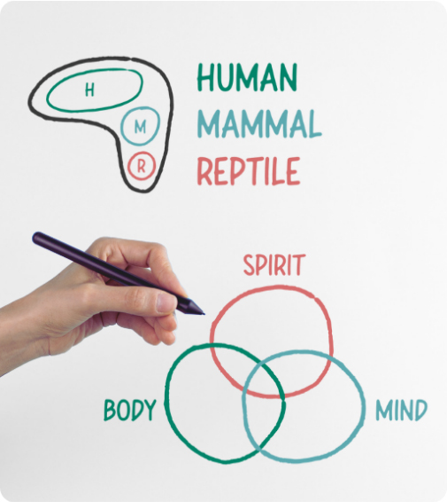 A hand draws Venn diagrams labeled "BODY," "MIND," and "SPIRIT" as overlapping circles, exploring concepts like What is Trauma; another diagram features "HUMAN," "MAMMAL," and "REPTILE" with colored text and circles.
