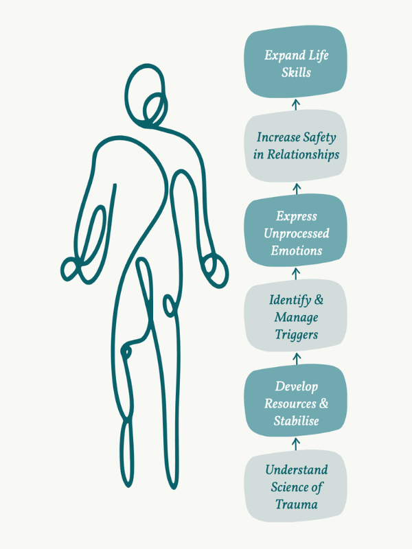 A simple line drawing of a person stands next to six vertically stacked steps: "Understand Science of Trauma," "Develop Resources & Stabilise," "Identify & Manage Triggers," "Express Unprocessed Emotions," "Increase Safety in Relationships," and "Expand Life Skills.