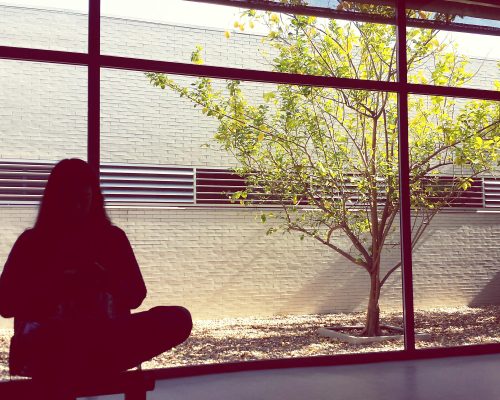 A person sits cross-legged indoors in silhouette near a large window, sunlight streaming in and illuminating a small tree and gravel outside—a peaceful moment that reflects the calm possible through nervous system-informed care.